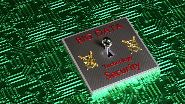 bigdata-1423786_640