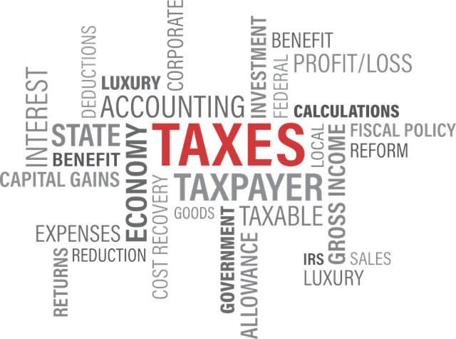 tax-1351881_640 (2)