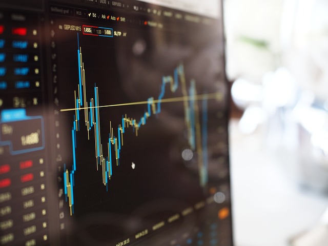 Bolsa